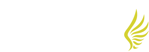 McCarthy Holden Logo