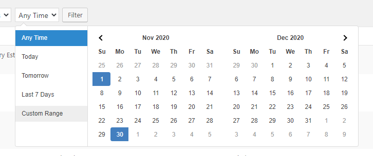 Viewing Date Filter