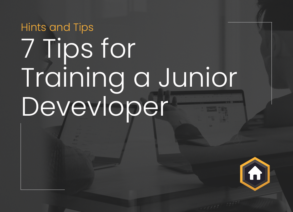 Training Junior Developer
